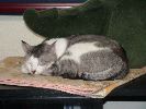 DSC00011_1
