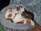 DSC00012_1