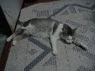 DSC00013_1