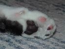 DSC00015_1
