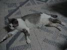 DSC00016_1