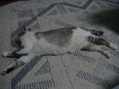 DSC00017_1