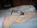 DSC00018_1