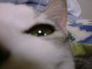 DSC00027_2