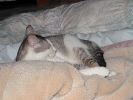 DSC00019_1