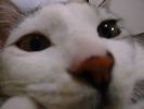 DSC00029_2