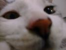 DSC00030_2