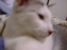DSC00031_2