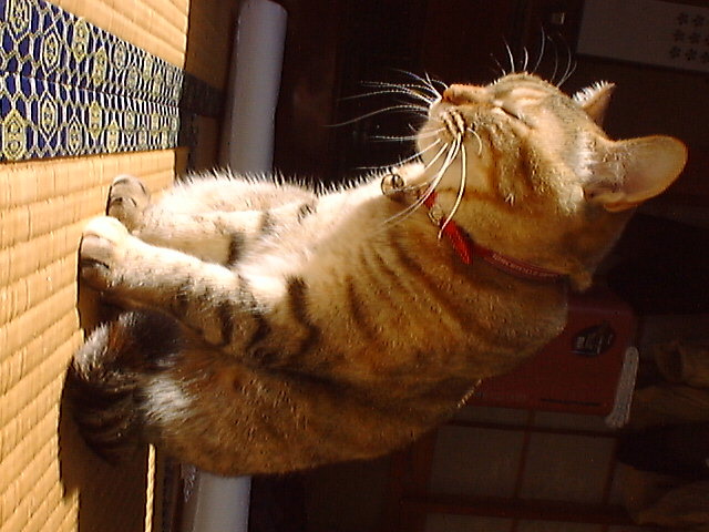 DSC00012_2