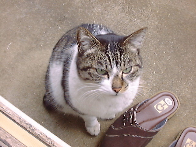 DSC00023_2
