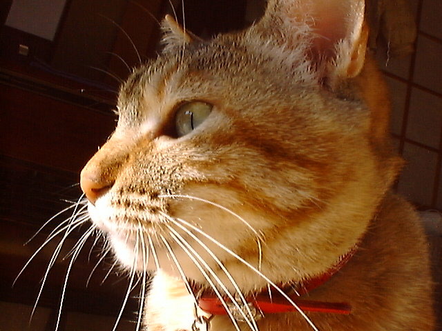 DSC00013_2