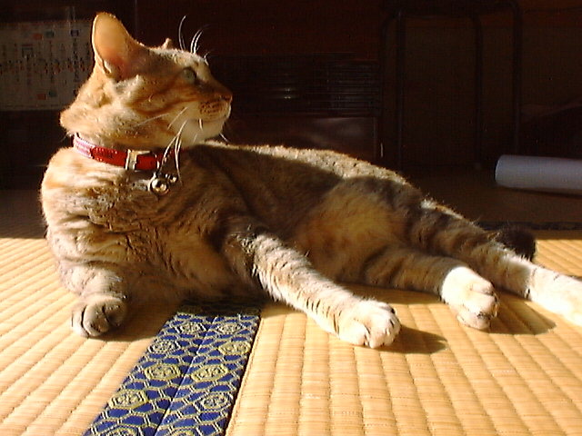 DSC00014_2