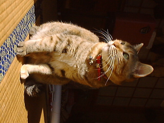 DSC00016_2