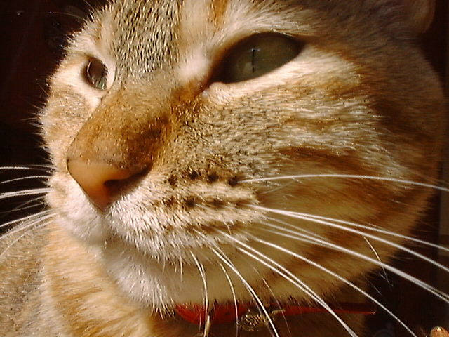 DSC00017_2