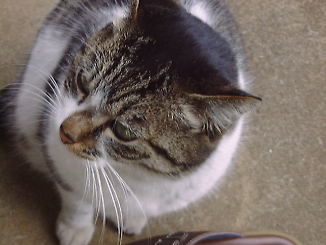 DSC00020_2