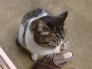 DSC00021_2