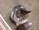 DSC00022_2
