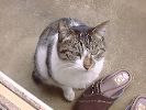 DSC00023_2