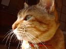DSC00013_2
