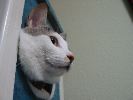 IMG_407