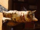 DSC00015_2