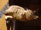 DSC00016_2