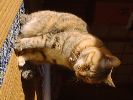 DSC00018_2
