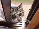 DSC00019_2