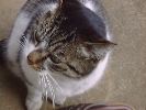 DSC00020_2