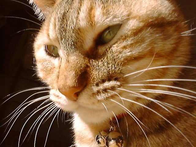 DSC00018_2