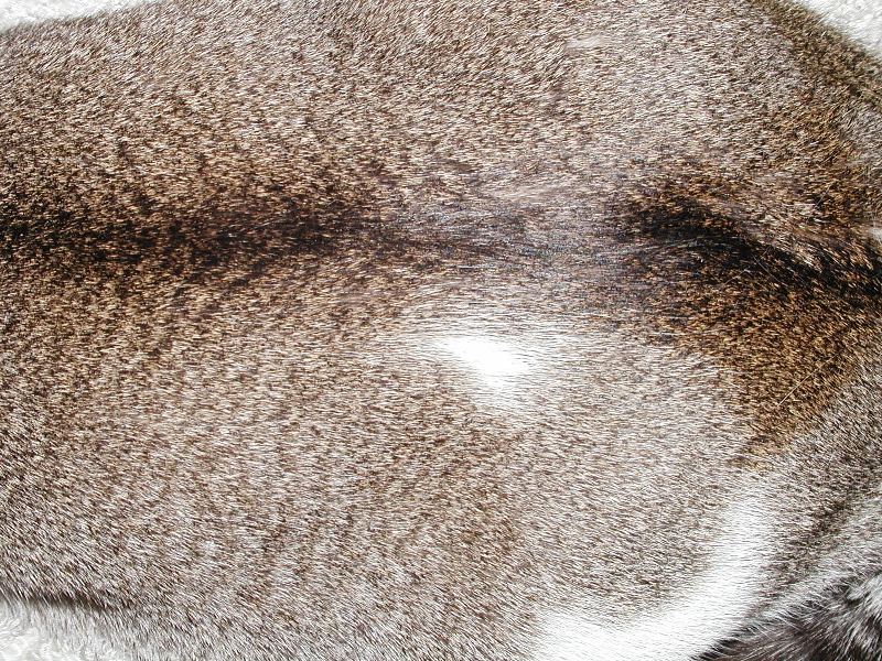 PC230583_1