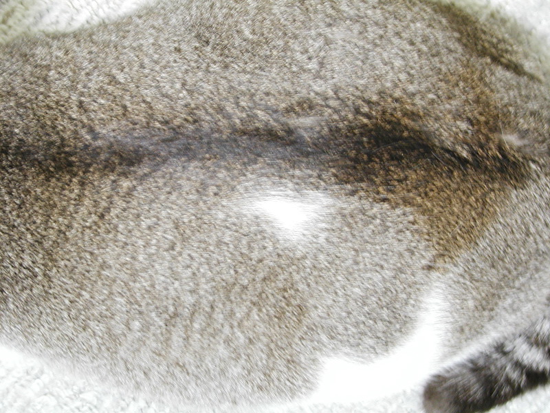 PC230584_1