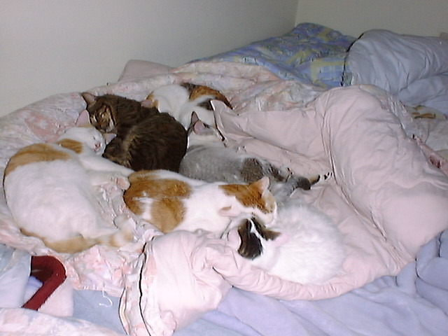 DSC00039_2