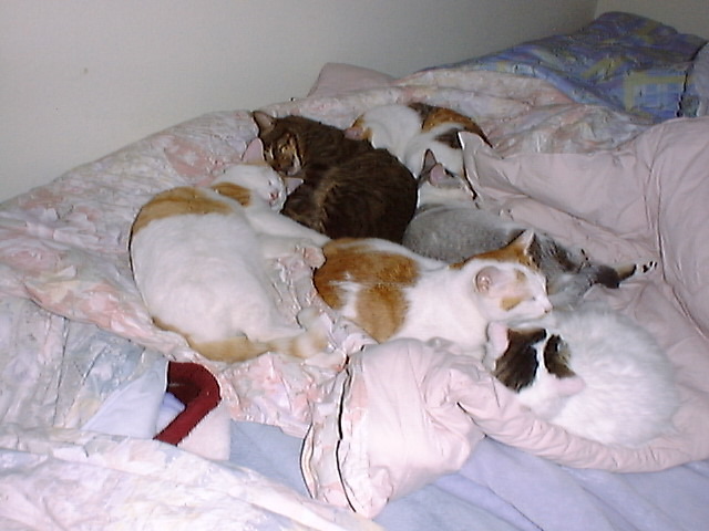 DSC00040_2