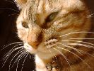 DSC00018_2
