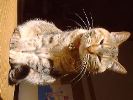 DSC00019_2