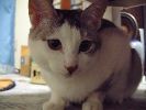 DSCF0033_2