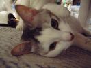 DSCF0036_2