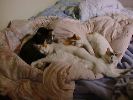 DSC00037_2