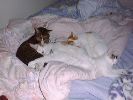 DSC00038_2