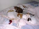 DSC00040_2