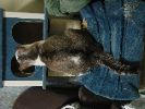 IMG_539