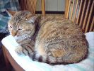 DSCF0014_2