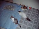 DSCF0032_2