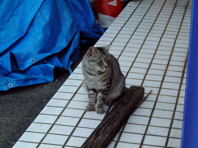 DSCF0055_2