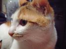 DSCF0038_2