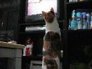DSC00017_1