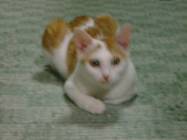 DSC00068