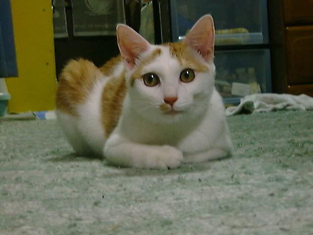 DSC00070