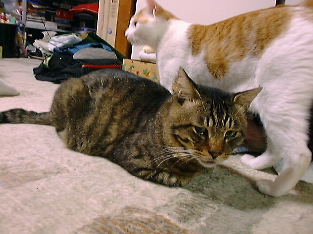DSC00071